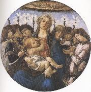 Sandro Botticelli Madonna and Child with eight Angels or Raczinskj Tondo (mk36) France oil painting artist